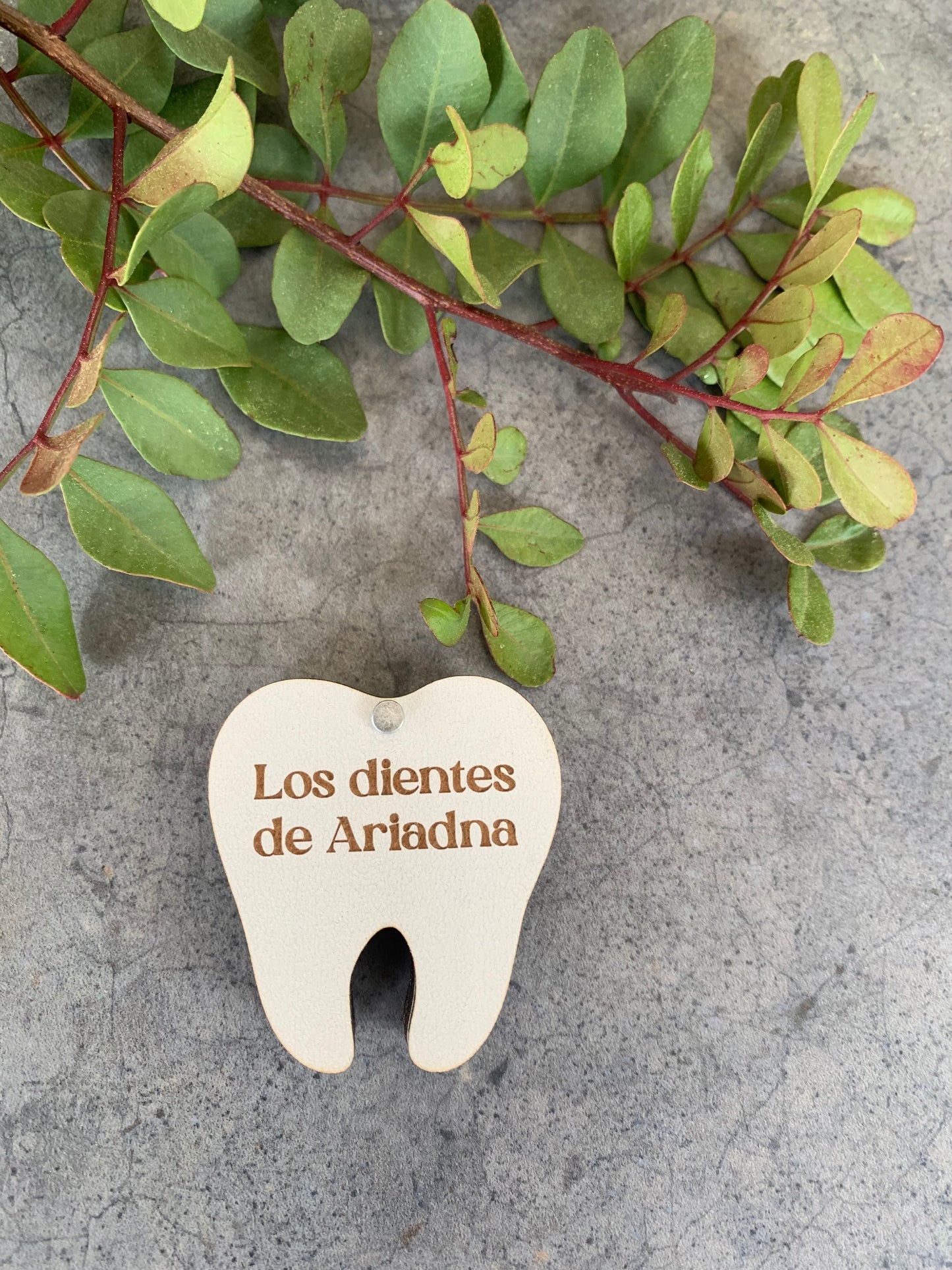 caja para los dientes blanco